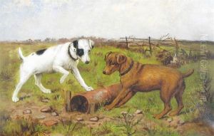 First Catch The Hare