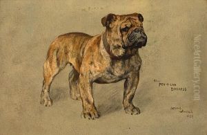 A Portrait Of The Bulldog 'champion Pen-y-lan Duchess' by Arthur Wardle