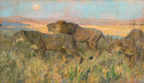 Lions: Sunset by Arthur Wardle