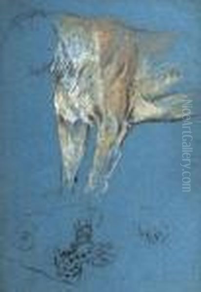 A Studies Of Lions And Leopards - view 1