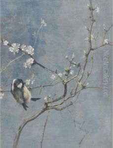 A Tit On A Branch Of Blossoming Cherries