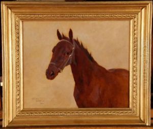 Portrait Of A Horse