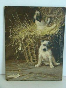 Puppies Playing In A Basket.