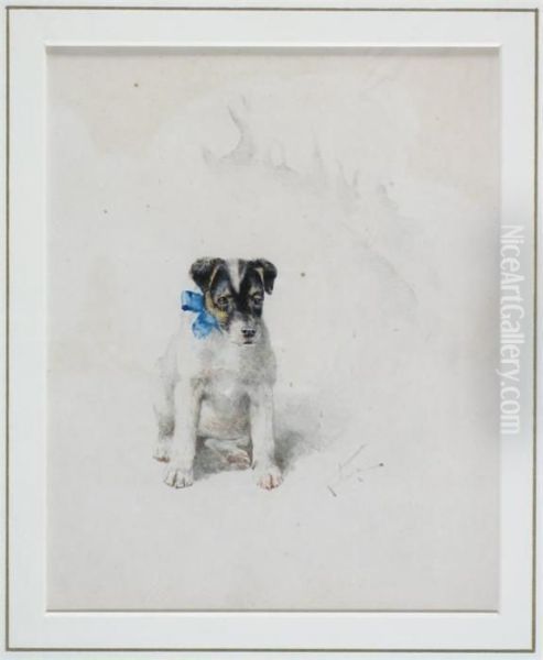 Salus, A Favourite Jack Russell - view 1