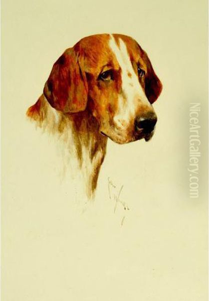Study Of A Foxhound - view 1