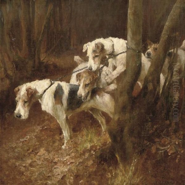 Fox Terriers - view 1