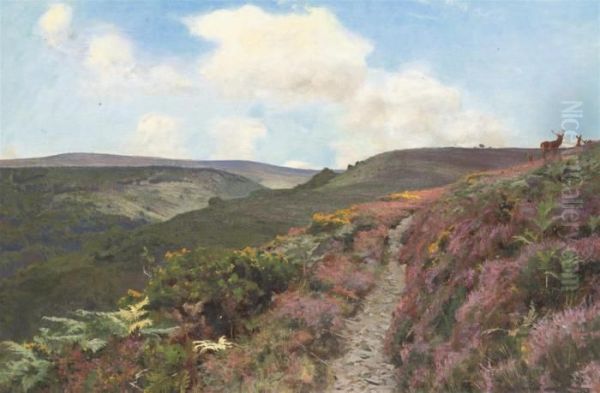Lady Acland's Path, Near Parlock, With Dunkery In Thedistance - view 1