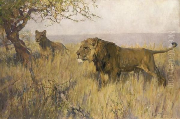 A Lion And A Lioness Surveying Their Territory - view 1
