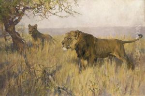 A Lion And A Lioness Surveying Their Territory