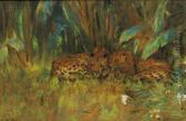 In The Jungle - view 1