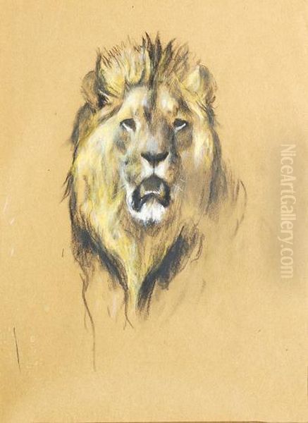 Lion; Cheetah; Leopard by Arthur Wardle