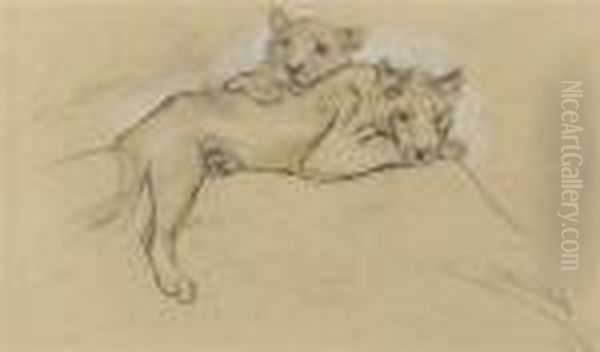 Sleeping Lions - view 1