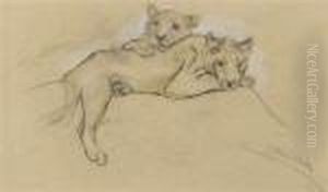 Sleeping Lions Sleeping Lions