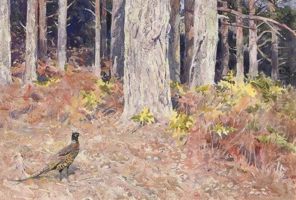 Scotch Firs - view 1