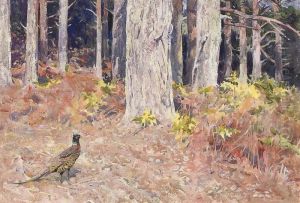 Scotch Firs Scotch Firs