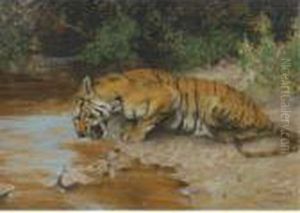 Tiger Drinking by Arthur Wardle