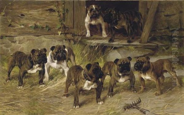Bulldogs Of The Twentieth Century - view 1