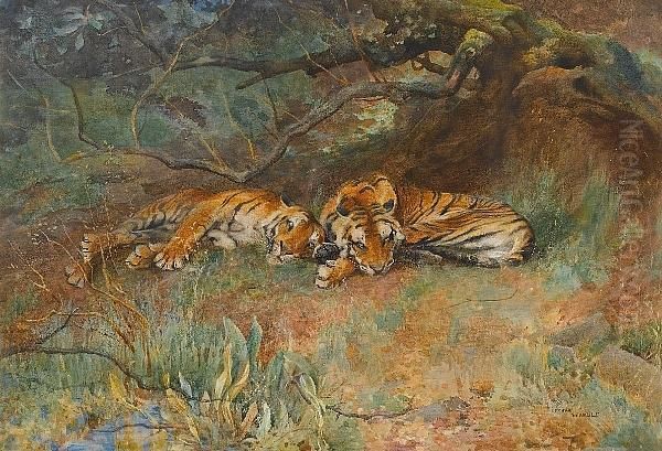 Two Tigers At Rest - view 1