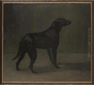 A Black Labrador by Arthur Wardle