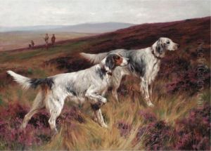 Two Setters On A Grouse Moor