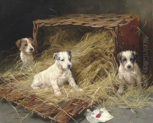 The New Arrivals - Fox Terrier Puppies - view 1