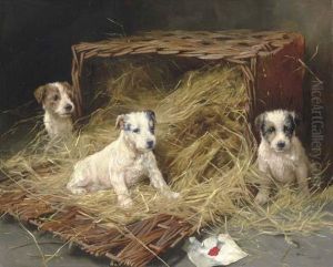 The New Arrivals - Fox Terrier Puppies by Arthur Wardle