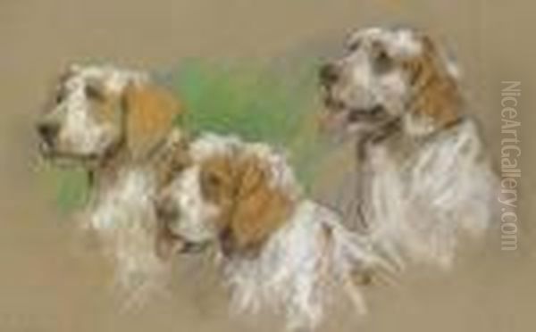 Study Of Three Clumber Spaniel Puppies - view 1