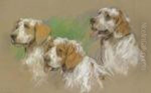 Study Of Three Clumber Spaniel Puppies by Arthur Wardle