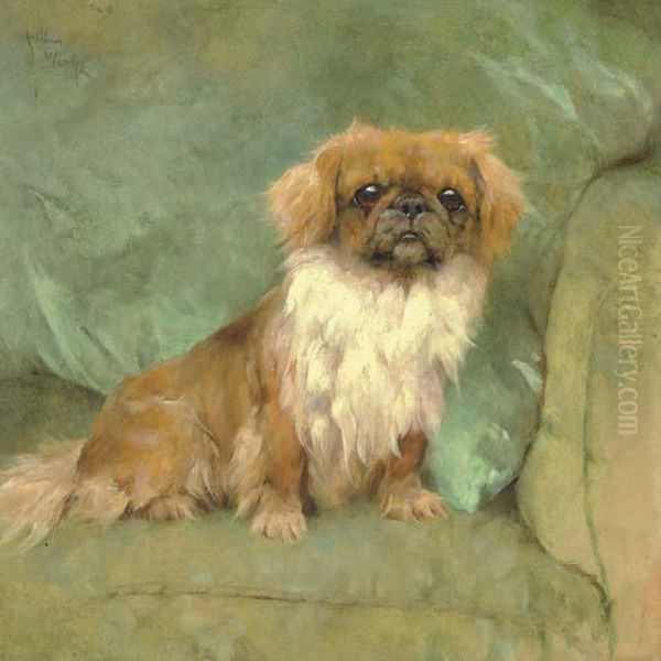 A Pekingese On A Blue Pillow - view 1