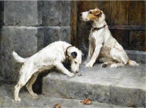 Curiosity by Arthur Wardle