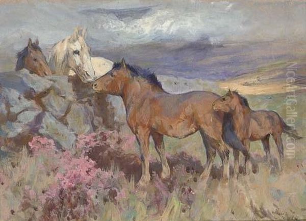 Shetland Ponies - view 1