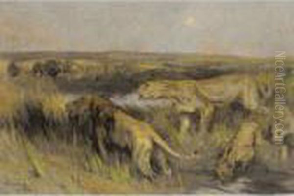 Lions In The Savannah - view 1