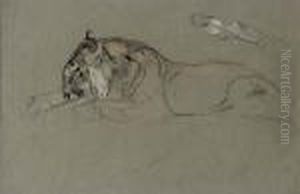 Study Of Two Recumbent Tigers by Arthur Wardle