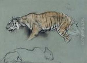 Study Of Two Tigers