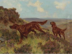A Pair Of Irish Setters In The Field by Arthur Wardle