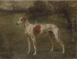 A Prize Greyhound In A Landscape
