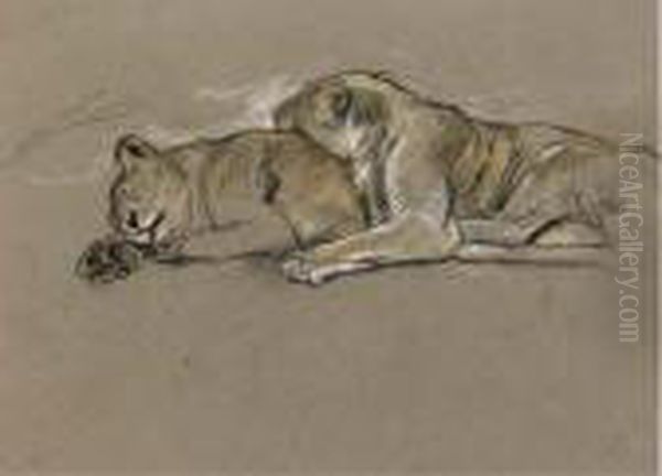 Sleeping Lionesses - view 1