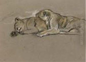 Sleeping Lionesses by Arthur Wardle