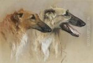 Head Studies Of Two Borzoi