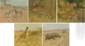 Zebras; A Leopard; Tigers; Giraffes And A Rhino