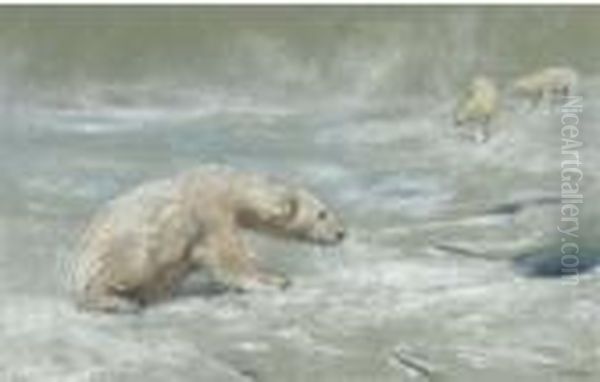 Polar Bears - view 1