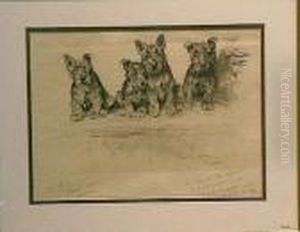 Scottish Terrier Puppies by Arthur Wardle