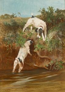 Terriers By A River Bank Terriers By A River Bank