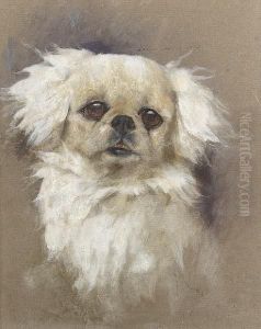 A Pekingese