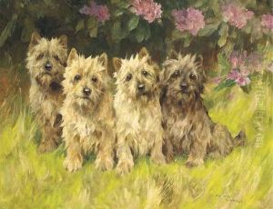 Cairn Terriers By A Rhododendron Bush