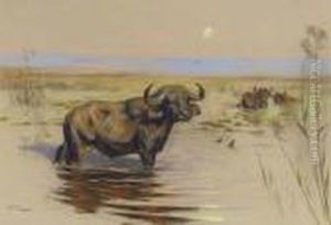 Water Buffalo Bathing At Sunset by Arthur Wardle