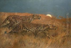 Leopards Stalking Prey