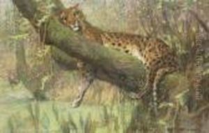 A Leopard Resting by Arthur Wardle