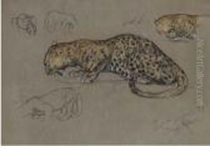 Leopard Studies by Arthur Wardle
