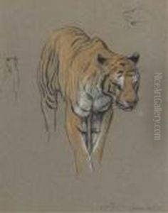 Nepalese Tigress by Arthur Wardle